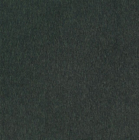 Ковровая плитка Interface Superflor 9165 Pineforest фото 1 | FLOORDEALER